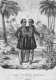The most famous pair of conjoined twins were Chang and Eng Bunker  (1811–1874), Thai brothers born in Siam, now Thailand. They traveled with P.T. Barnum's circus for many years and were billed as the Siamese Twins. Chang and Eng were joined by a band of flesh, cartilage, and their fused livers at the torso. Due to the brothers' fame and the rarity of the condition, the term came to be used as a synonym for conjoined twins.