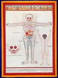 Anatomical drawing of a male body showing the bones and organs. Tibet - Early 20th century Thangka, Gouache on paper.<br/><br/>

Tibetan medicine or <i>Sowa-Rigpa</i> ('Healing Science') is a centuries-old traditional medical system that employs a complex approach to diagnosis, incorporating techniques such as pulse analysis and urinalysis, and utilizes behavior and dietary modification, medicines composed of natural materials (e.g., herbs and minerals) and physical therapies (e.g. Tibetan acupuncture, moxabustion, etc.) to treat illness.<br/><br/>

The Tibetan medical system is based upon a synthesis of the Indian (Ayurveda), Persian (Unani), Greek, indigenous Tibetan, and Chinese medical systems, and it continues to be practiced in Tibet, India, Nepal, Bhutan, Ladakh, Siberia, China and Mongolia, as well as more recently in parts of Europe and North America. It embraces the traditional Buddhist belief that all illness ultimately results from the 'three poisons' of the mind: ignorance, attachment and aversion.