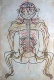 Manṣūr ibn Muḥammad ibn Aḥmad, Tashrīḥ-i badan-i insān ('The Anatomy of the Human Body'). Persian manuscript, copy undated; appearance of paper, handwriting, ink, illustrations, etc. suggest  ca. late 15th or very early 16th century.