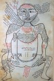 Manṣūr ibn Muḥammad ibn Aḥmad, Tashrīḥ-i badan-i insān ('The Anatomy of the Human Body'). Persian manuscript, copy undated; appearance of paper, handwriting, ink, illustrations, etc. suggest  ca. late 15th or very early 16th century.