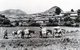 China: A Mule caravan in southern Yunnan c.1900