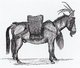 China: Yunnanese caravan, lead mule, late 19th Century
