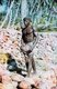 BIOT (British Indian Ocean Territory): Ilois man husking coconuts