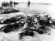 Vietnam: Bodies of dead NLF (Viet Cong) guerrillas lying piled up at Tan Son Nhat Airport, Saigon, February 1968