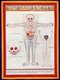 China / Tibet: Thangka anatomical drawing: the front of a male body showing the bones and organs.