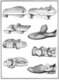 Yemen: Shoes, sandals, Yemeni footwear. Carsten Niebuhr, 1761-1776.
