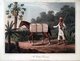 Brazil: A Cotton Carrier. From Henry Koster's 1816 volume, 'Travels in Brazil'