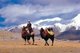 China: Bactrian camels and Kirghiz rider near Lake Karakul on the Karakoram Highway, Xinjiang